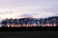 Picture of WINTER SUNSET II