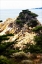 Picture of NORTH POINT III