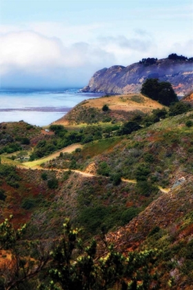 Picture of CALIFORNIA COAST II