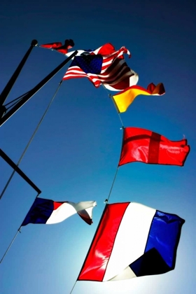 Picture of SIGNAL FLAGS I