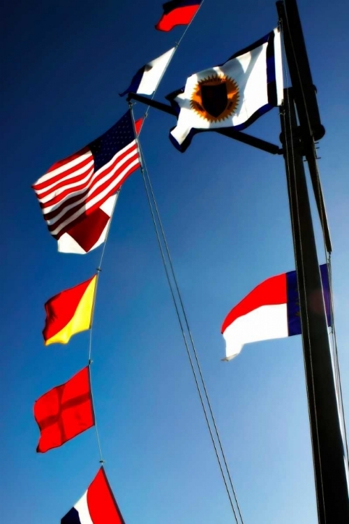 Picture of SIGNAL FLAGS II