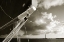 Picture of PAST THE LIGHT I