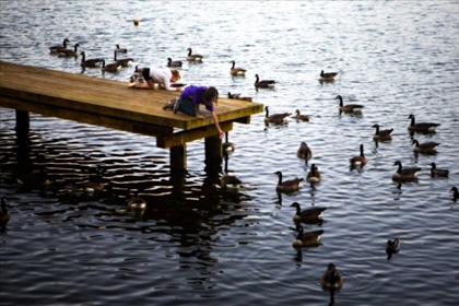 Picture of FEEDING THE GEESE IV