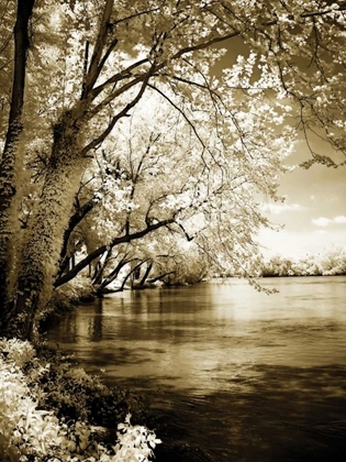 Picture of SPRING ON THE RIVER I