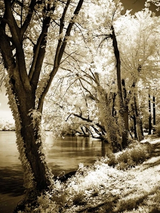 Picture of SPRING ON THE RIVER II