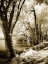 Picture of SPRING ON THE RIVER II