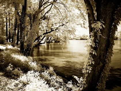 Picture of SPRING ON THE RIVER III