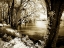 Picture of SPRING ON THE RIVER III
