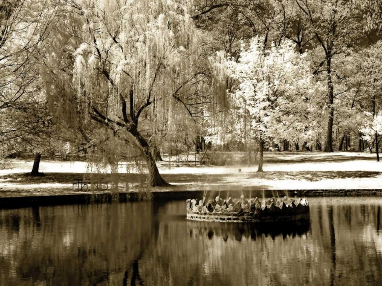Picture of BRYAN POND I