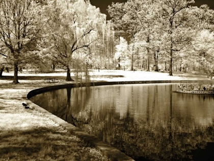 Picture of BRYAN POND II