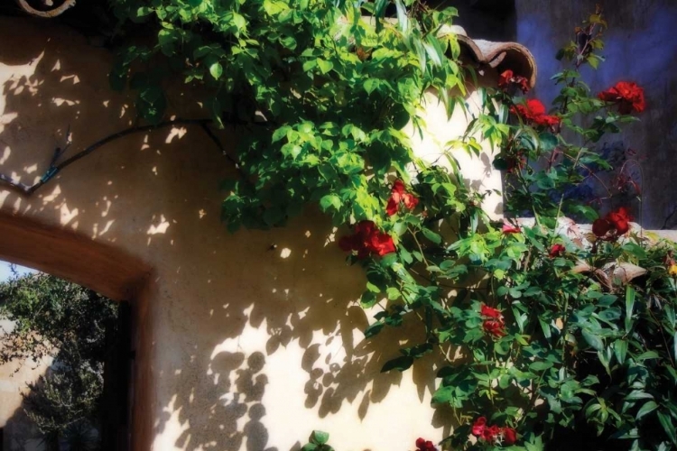 Picture of FLOWERS ON A MISSION WALL IV