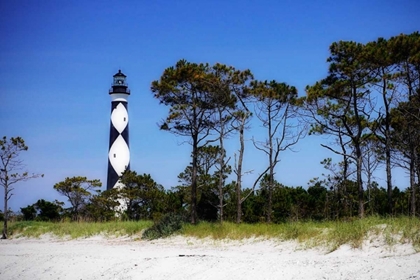 Picture of CAPE LOOKOUT LIGHT III