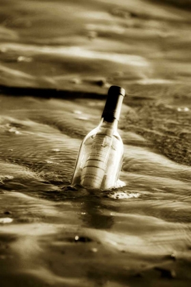 Picture of MESSAGE IN A BOTTLE II