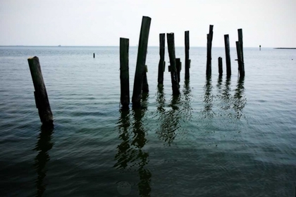 Picture of PILINGS II