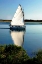 Picture of FRIENDS ON THE WATER