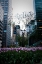Picture of TULIPS IN MANHATTAN