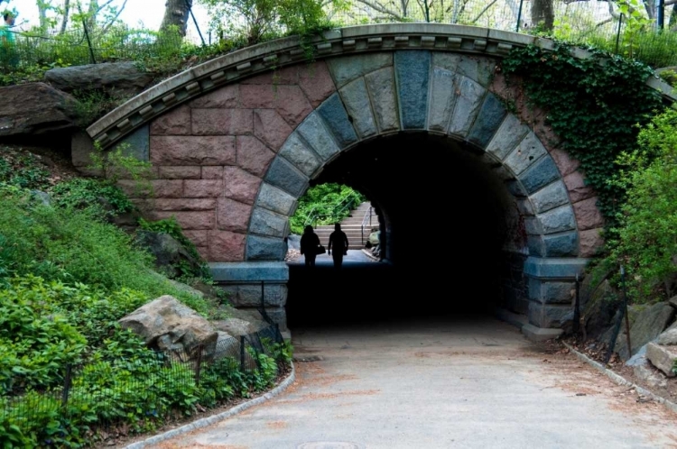 Picture of BRIDGE IN CENTRAL PARK