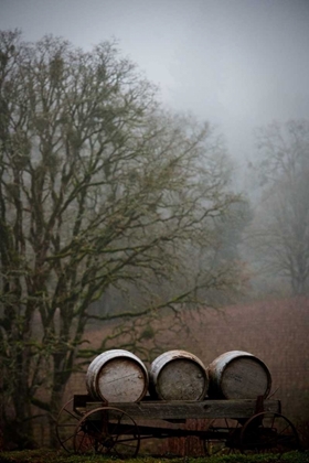Picture of OREGON WINE COUNTRY I