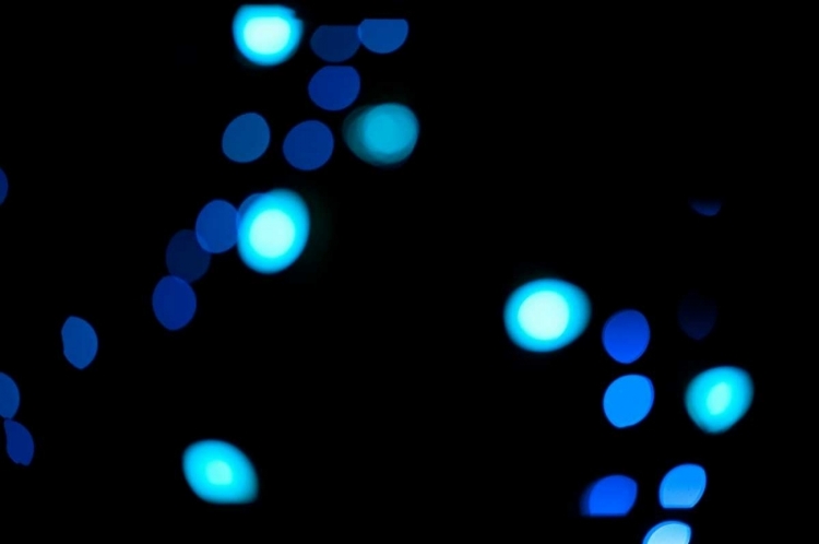 Picture of BLUE BOKEH III