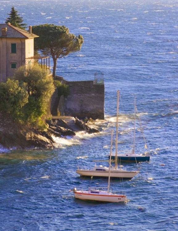 Picture of FISHING ON LAKE COMO