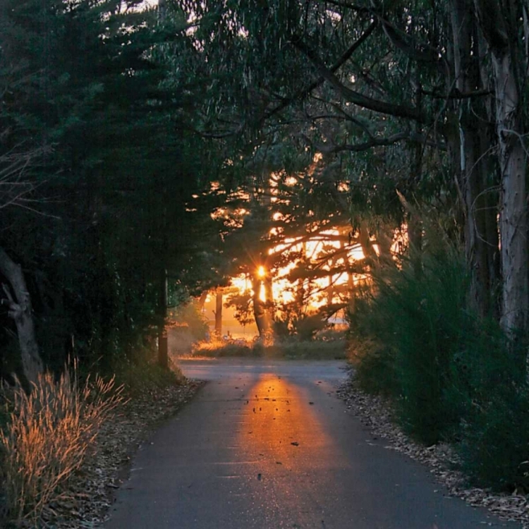 Picture of THE ROAD HOME