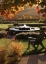 Picture of AUTUMN GLOW I