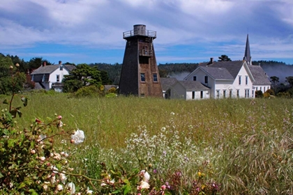 Picture of VILLAGE MEADOW I