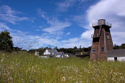 Picture of VILLAGE MEADOW II