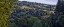 Picture of WOODLAND PASTURES I