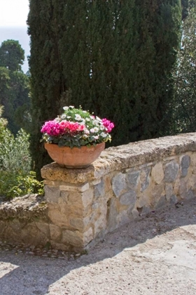 Picture of ITALIAN GARDEN II