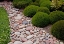 Picture of GARDEN GLIMPSE VII