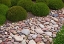 Picture of GARDEN GLIMPSE VIII