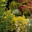 Picture of GARDEN TAPESTRY I