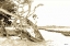 Picture of CARMEL BEACH II