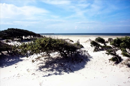 Picture of CEDAR ISLAND I