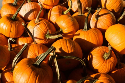 Picture of PUMPKINS