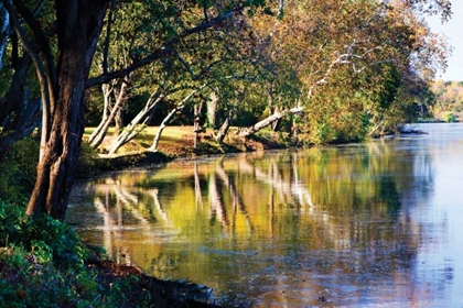 Picture of AUTUMN ON THE JAMES II