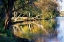 Picture of AUTUMN ON THE JAMES II