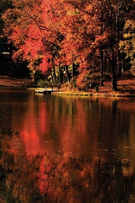 Picture of RED REFLECTIONS