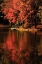 Picture of RED REFLECTIONS
