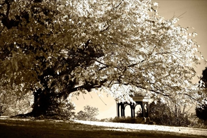 Picture of GAZEBO