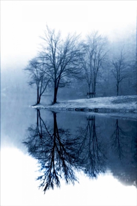 Picture of FOG ON THE LAKE I