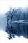 Picture of FOG ON THE LAKE I