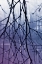 Picture of DROPLETS II
