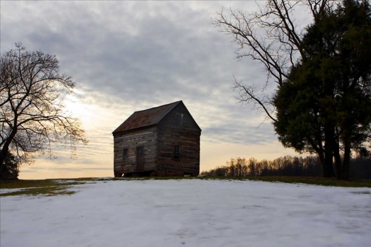 Picture of WINTER SKY II