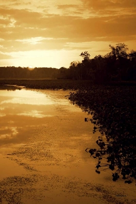 Picture of SUNSET ON THE LAKE II