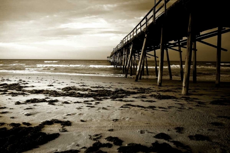 Picture of UNDER THE PIER I