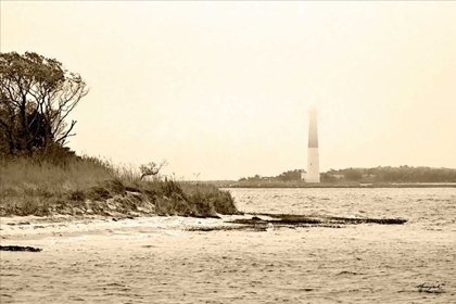 Picture of PERFECT SAIL II