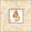 Picture of SEA TREASURE I