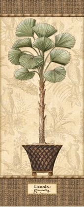 Picture of BOTANICAL PALM I
